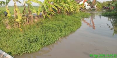 Kementerian PU Normalisasi Saluran Sekunder Tambun, 875,68 Hektare Sawah di Karawang Terairi